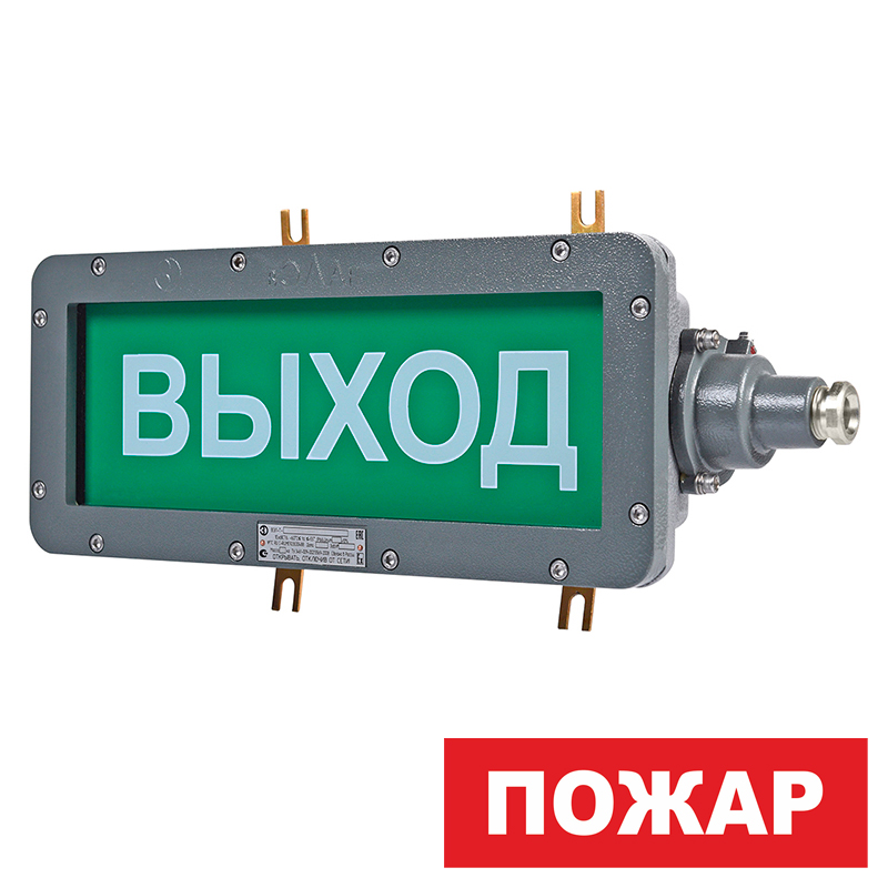 УТ000049533